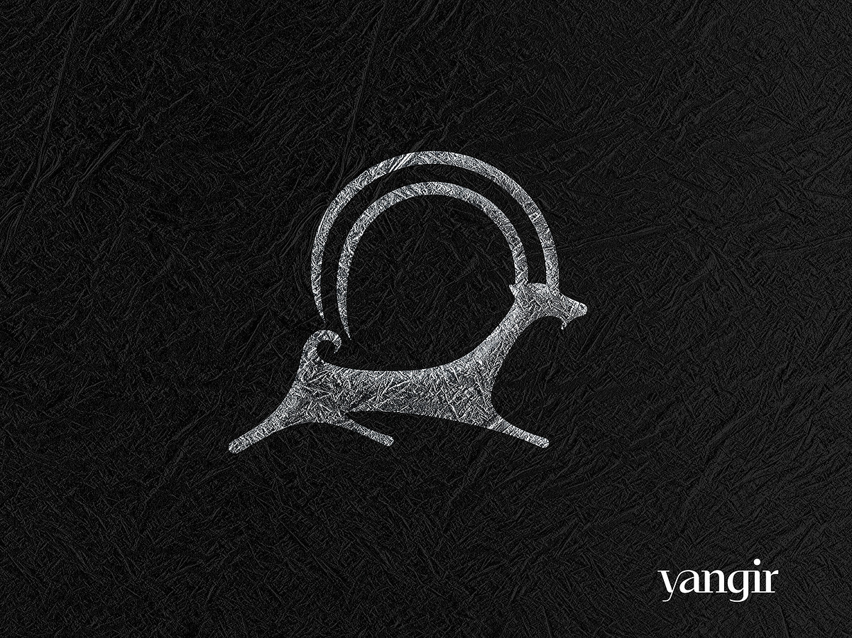 Yangir Image 0