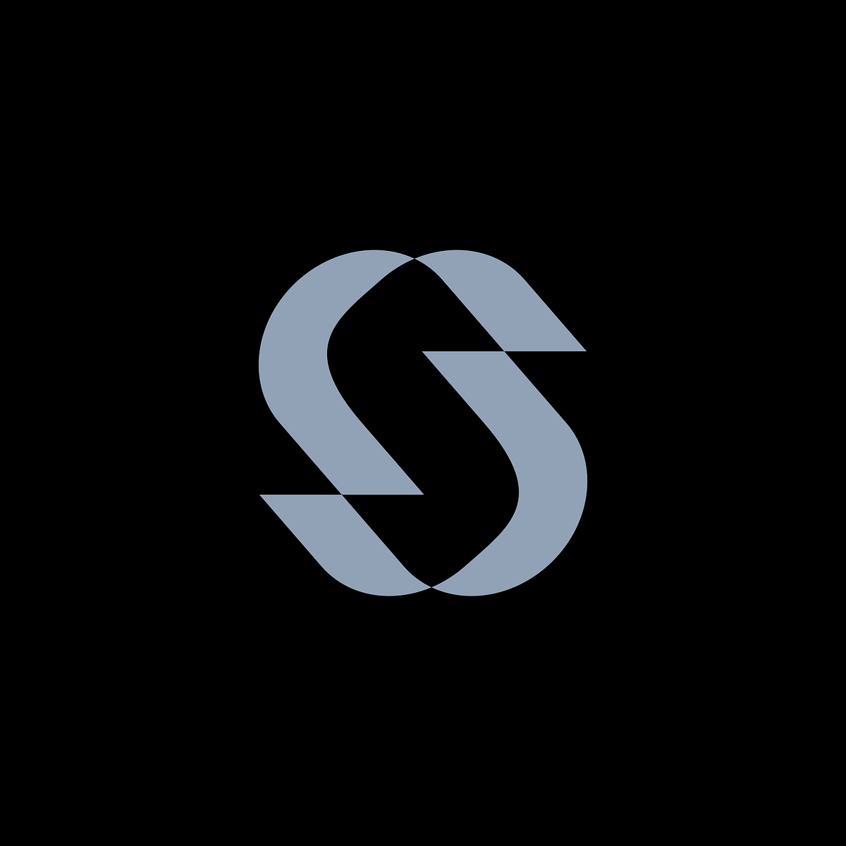 Letter S Image 1