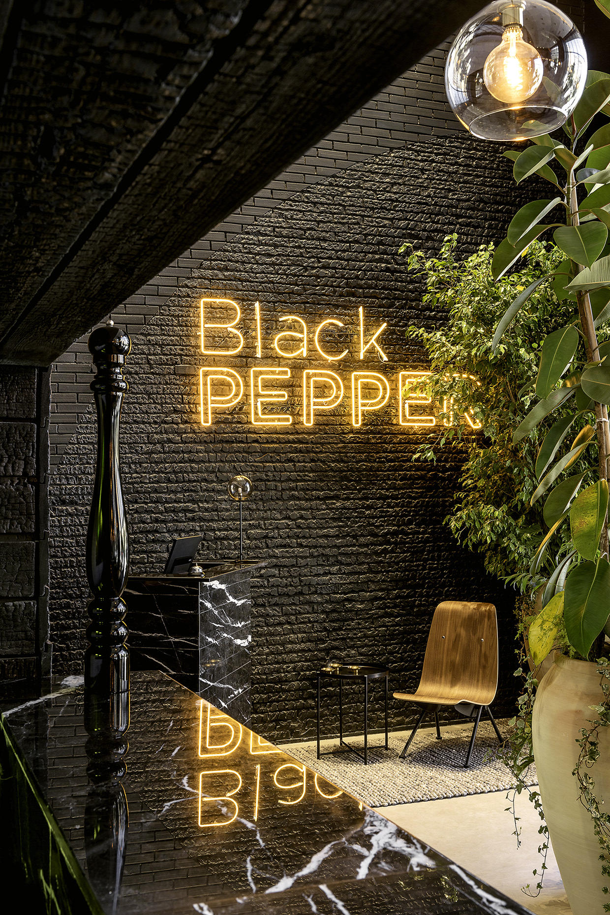 Black PEPPER Image 13
