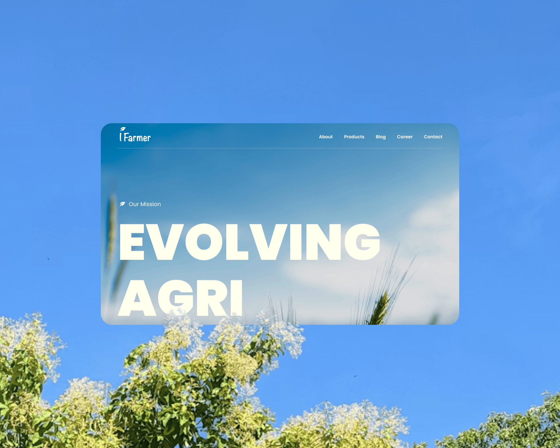 Agri-Fintech Website Design