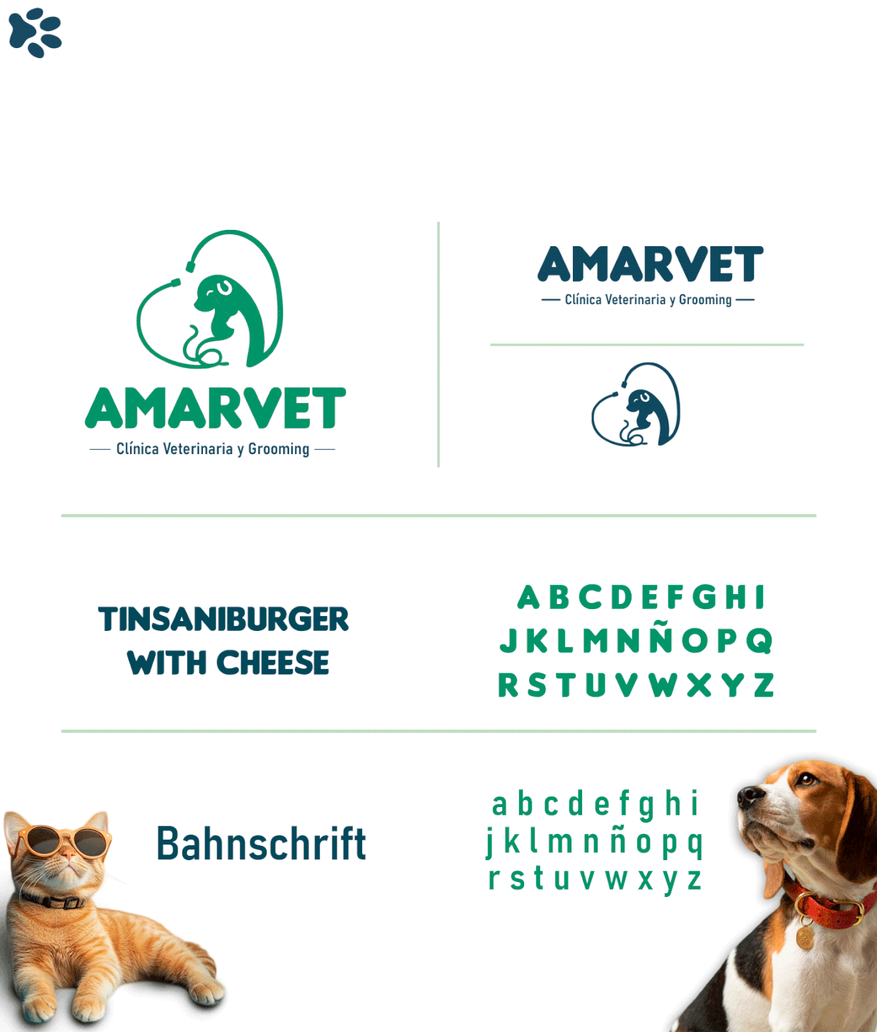 AMARVET CLINICA VETERINARIA Image 0