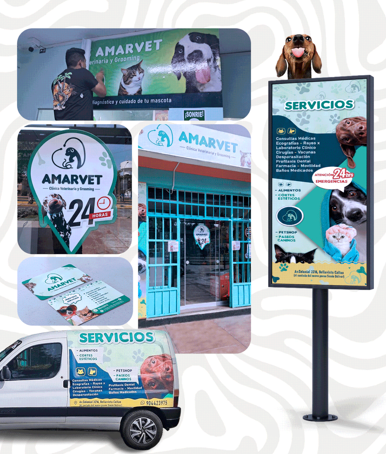 AMARVET CLINICA VETERINARIA Image 2