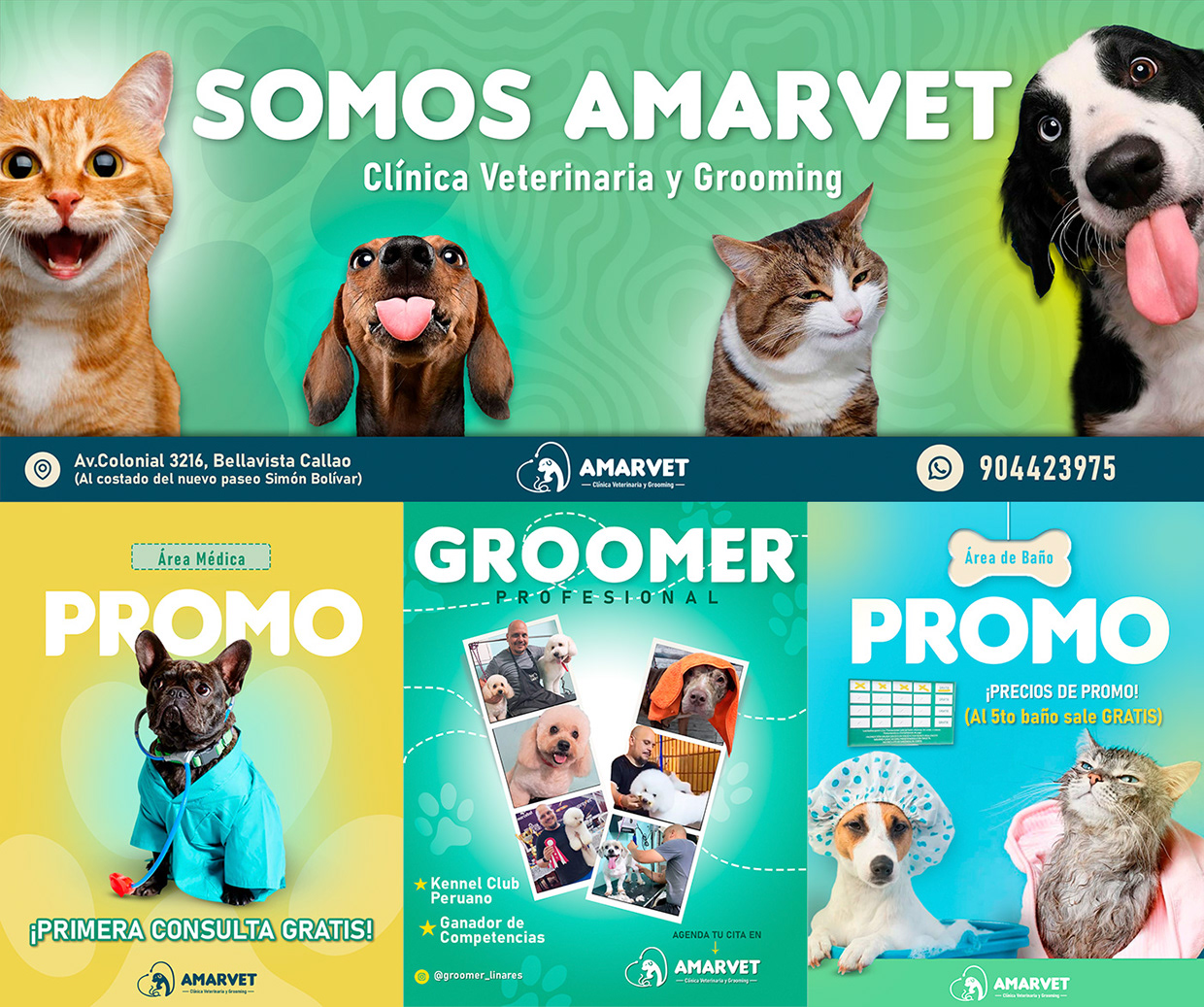 AMARVET CLINICA VETERINARIA Image 4
