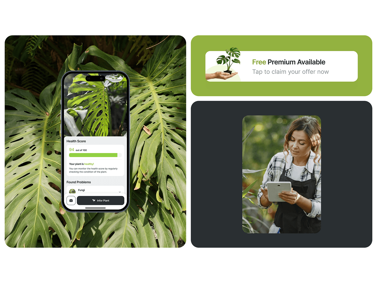 Plant Tag: AI Plant ID & Care Image 9
