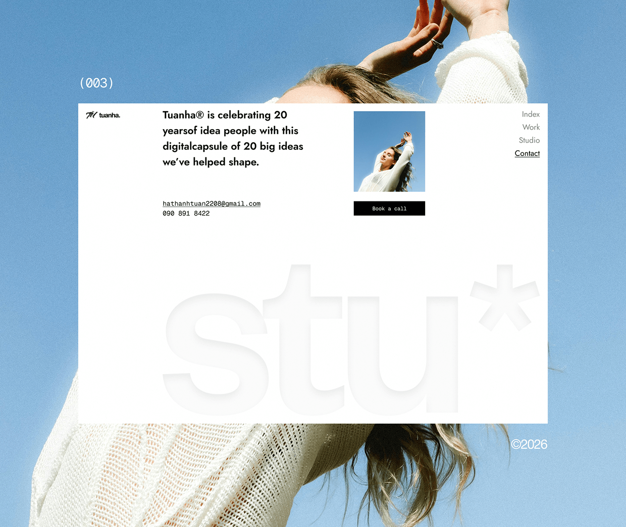 100 DAYS STEALLING DESIGN ©2026 / D001-004 Image 2