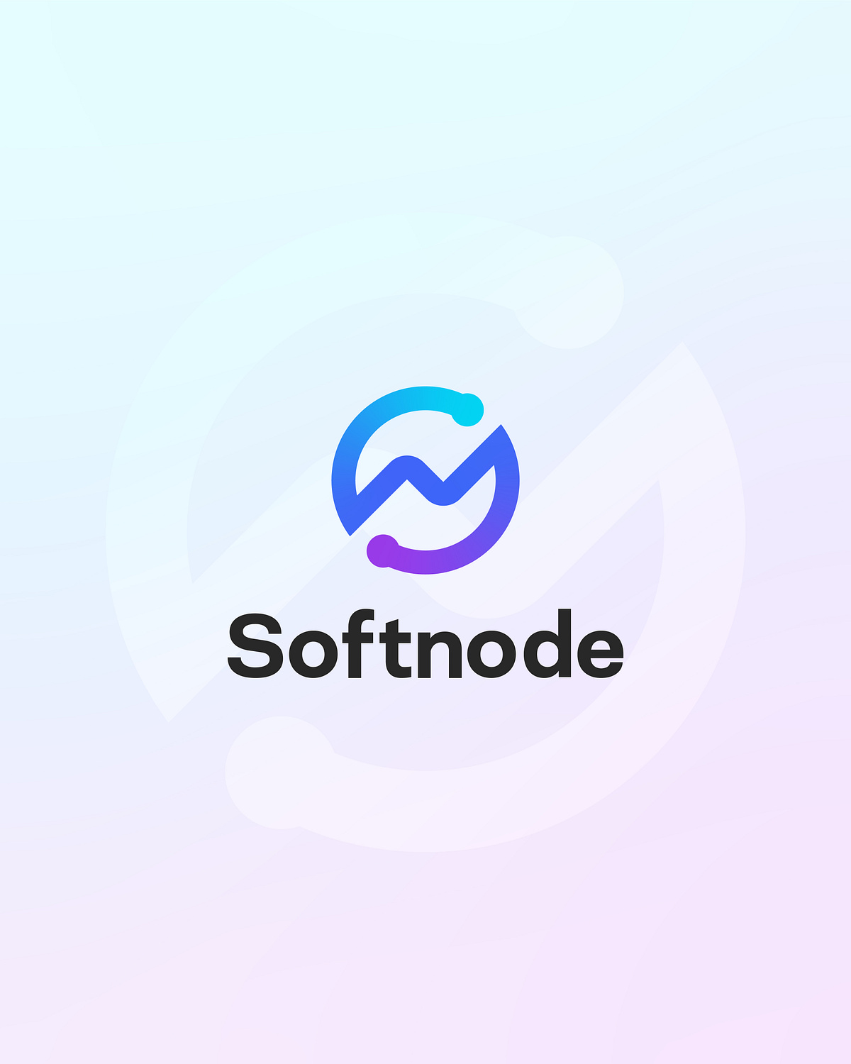 Softnode Brand Identity Image 3