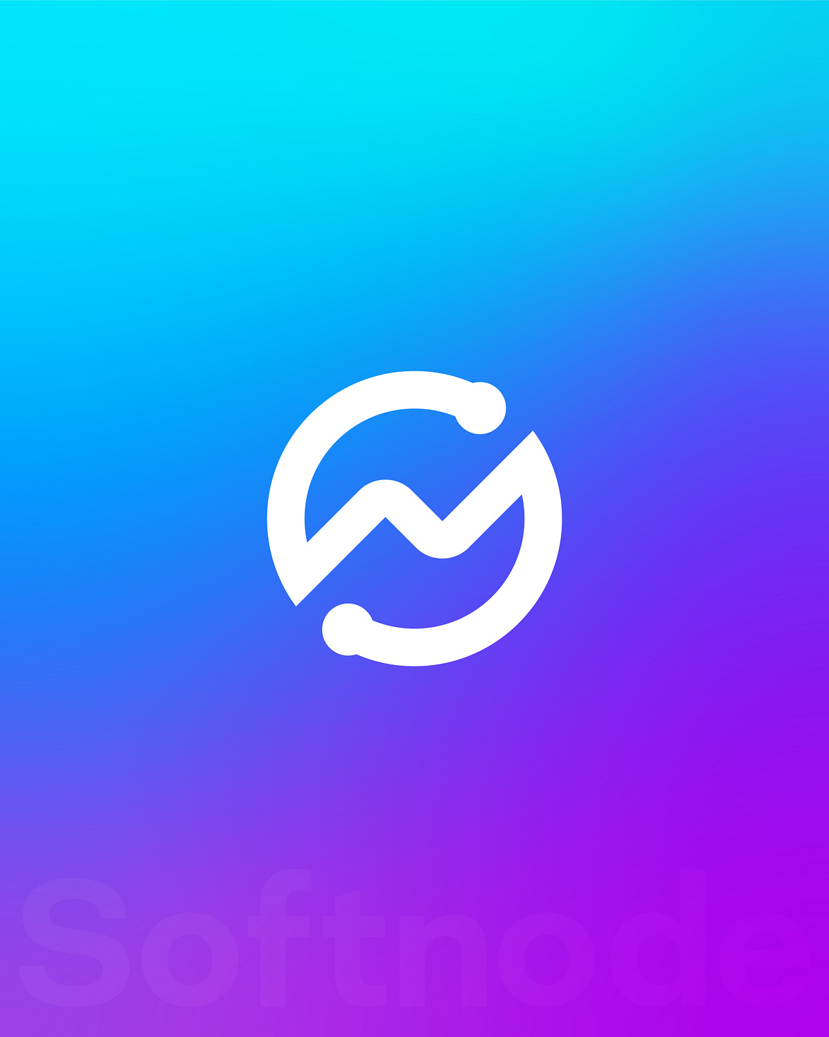 Softnode Brand Identity Image 5