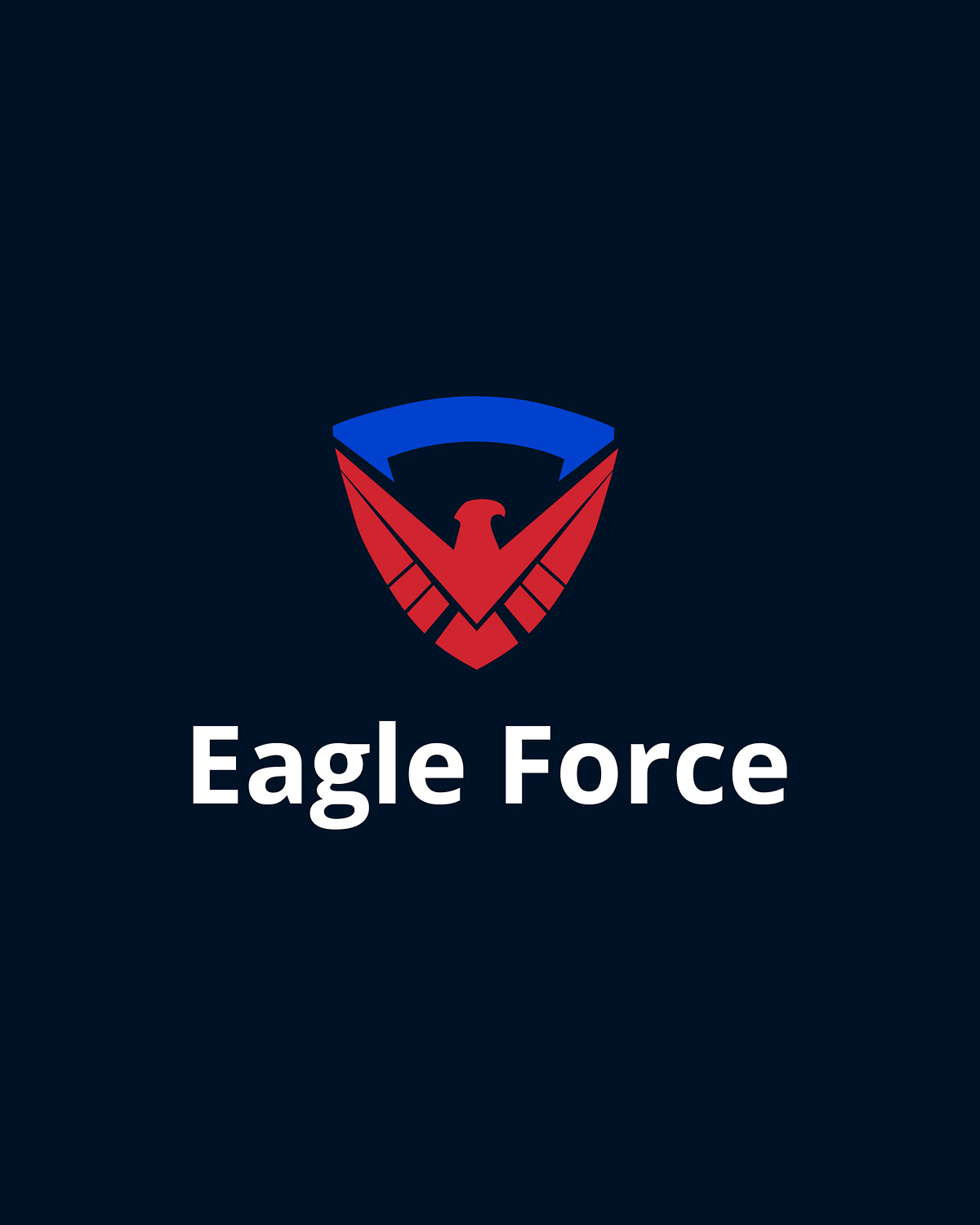 Eagle Force — Identity Design for a Security Agency  Image 2