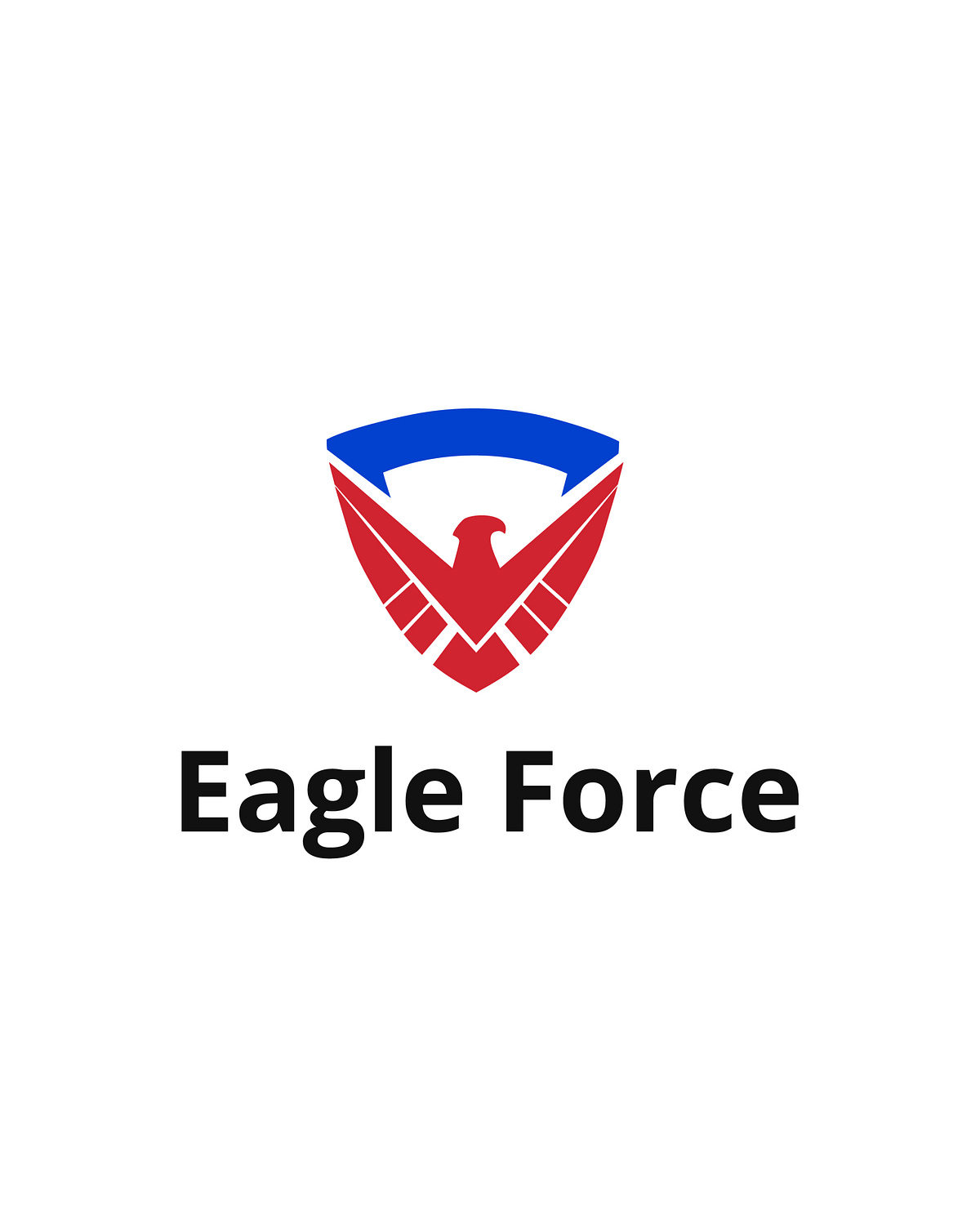 Eagle Force — Identity Design for a Security Agency  Image 3