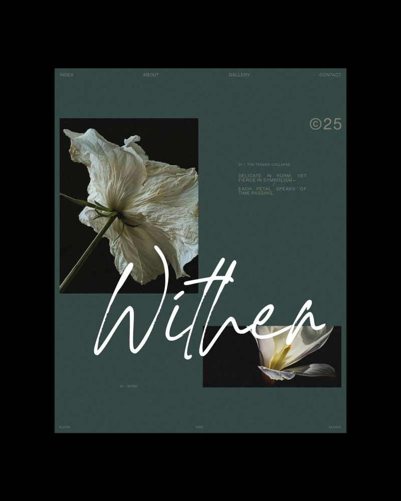 Soft petals, quiet stories. | Alprav Design - Brand Identity Designer