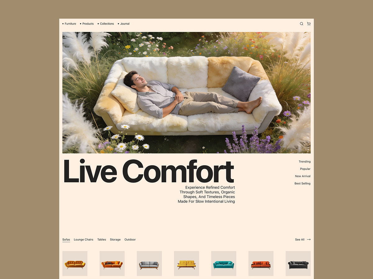 Home Furniture Website