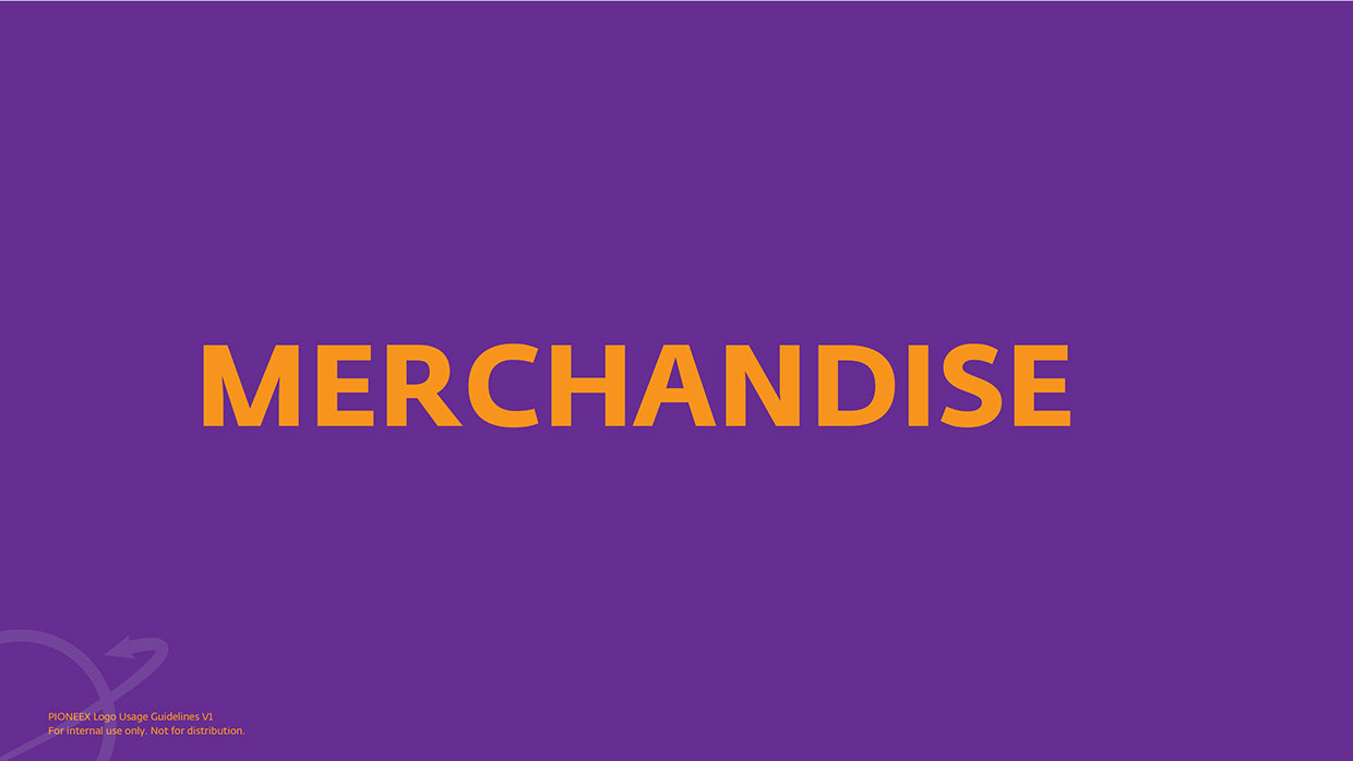 PIONEEX Corporate Identity Manual Image 27