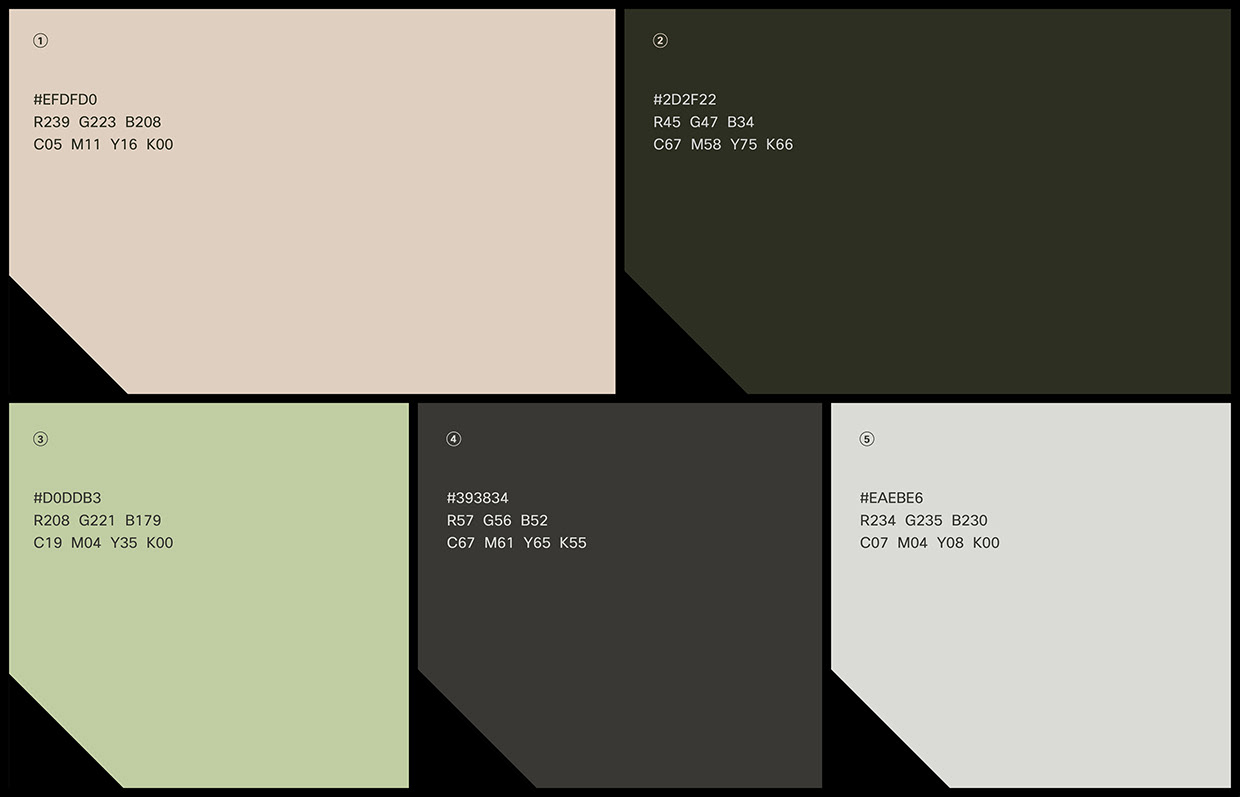 Vessilux Visual Identity Image 4