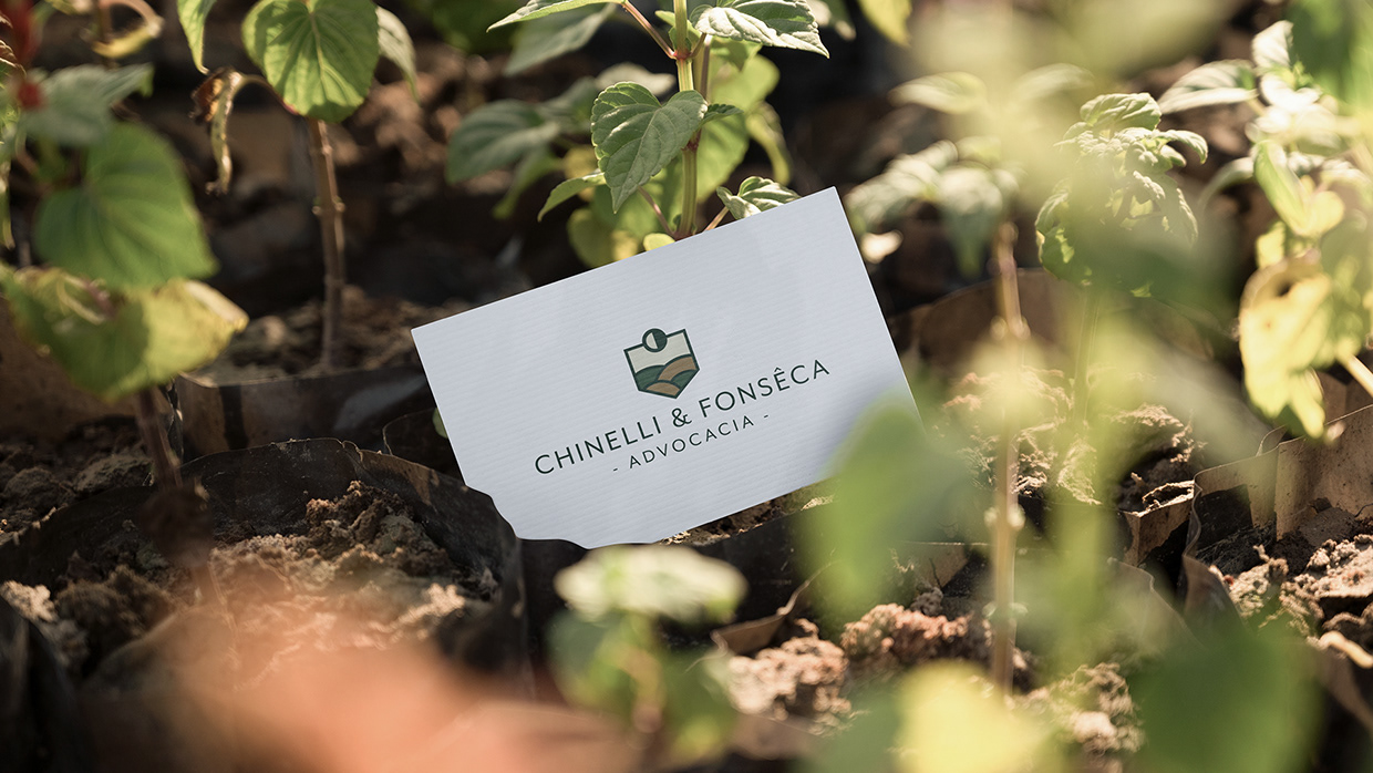 Chinelli & Fonsêca - Advocacia Image 11