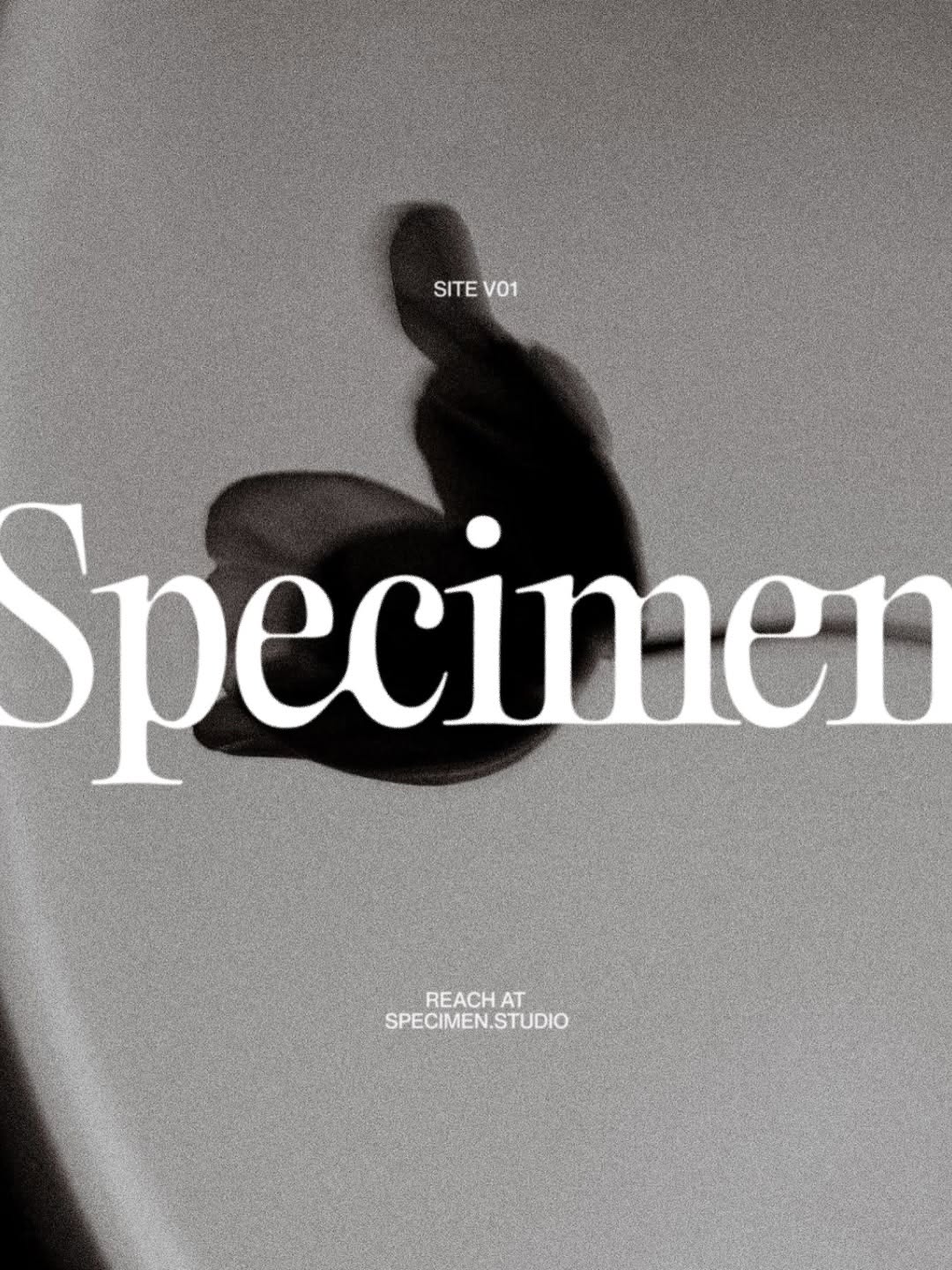 Specimen© Folio 2026