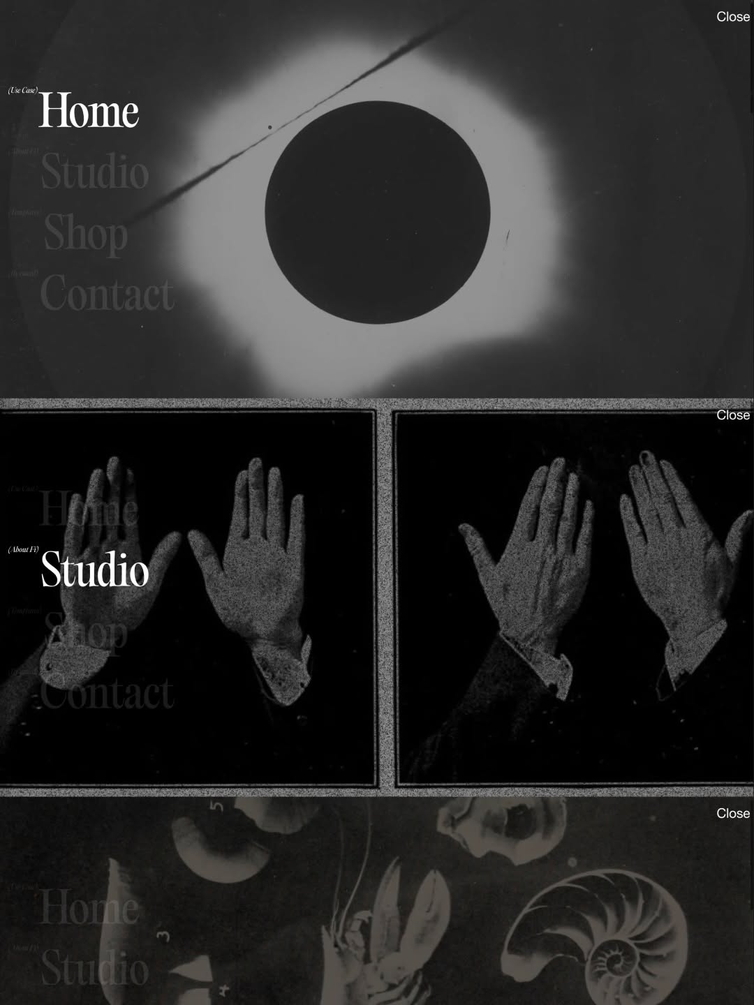 Specimen© Folio 2026 Image 1
