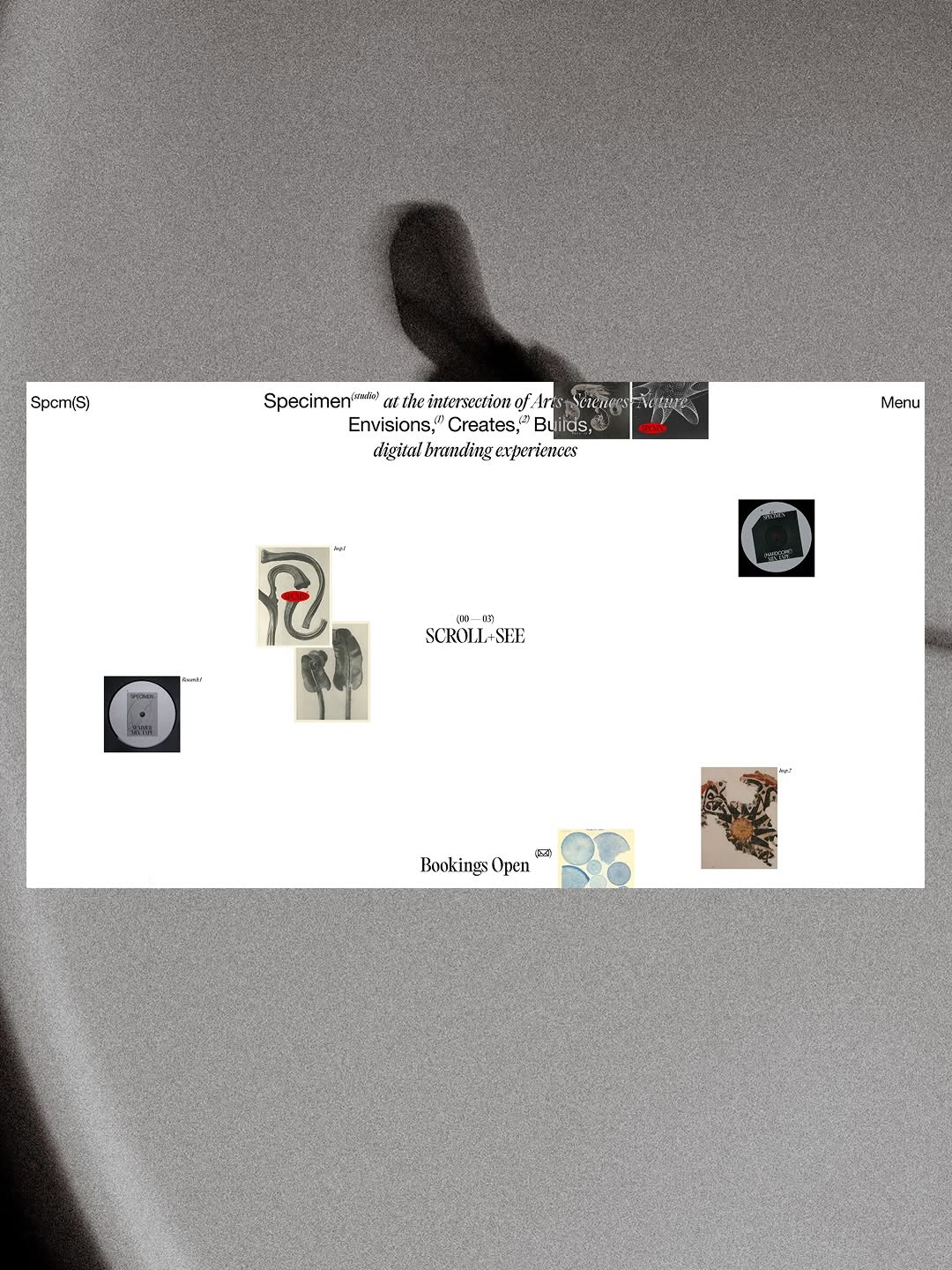 Specimen© Folio 2026 Image 4