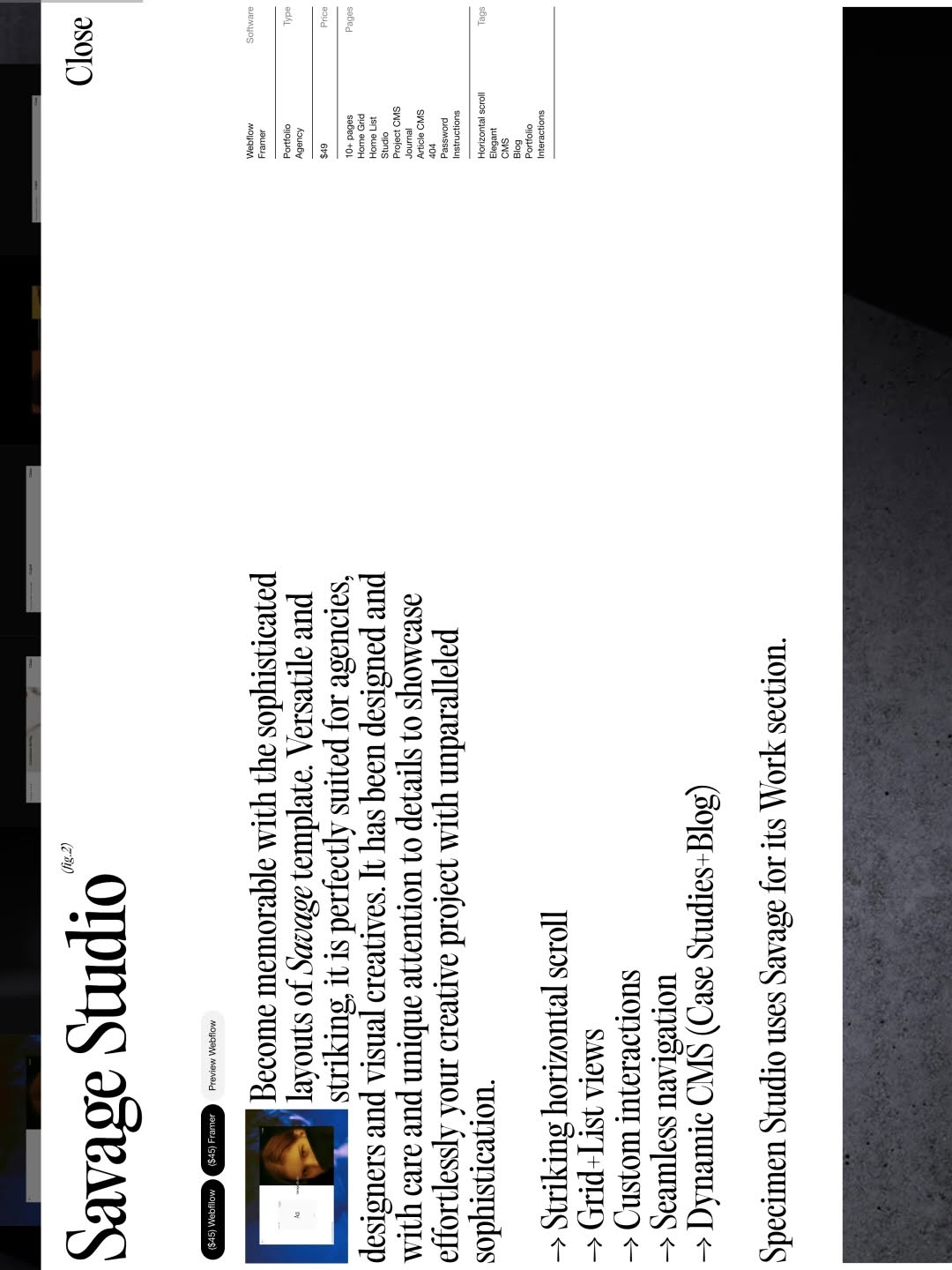Specimen© Shop Image 3