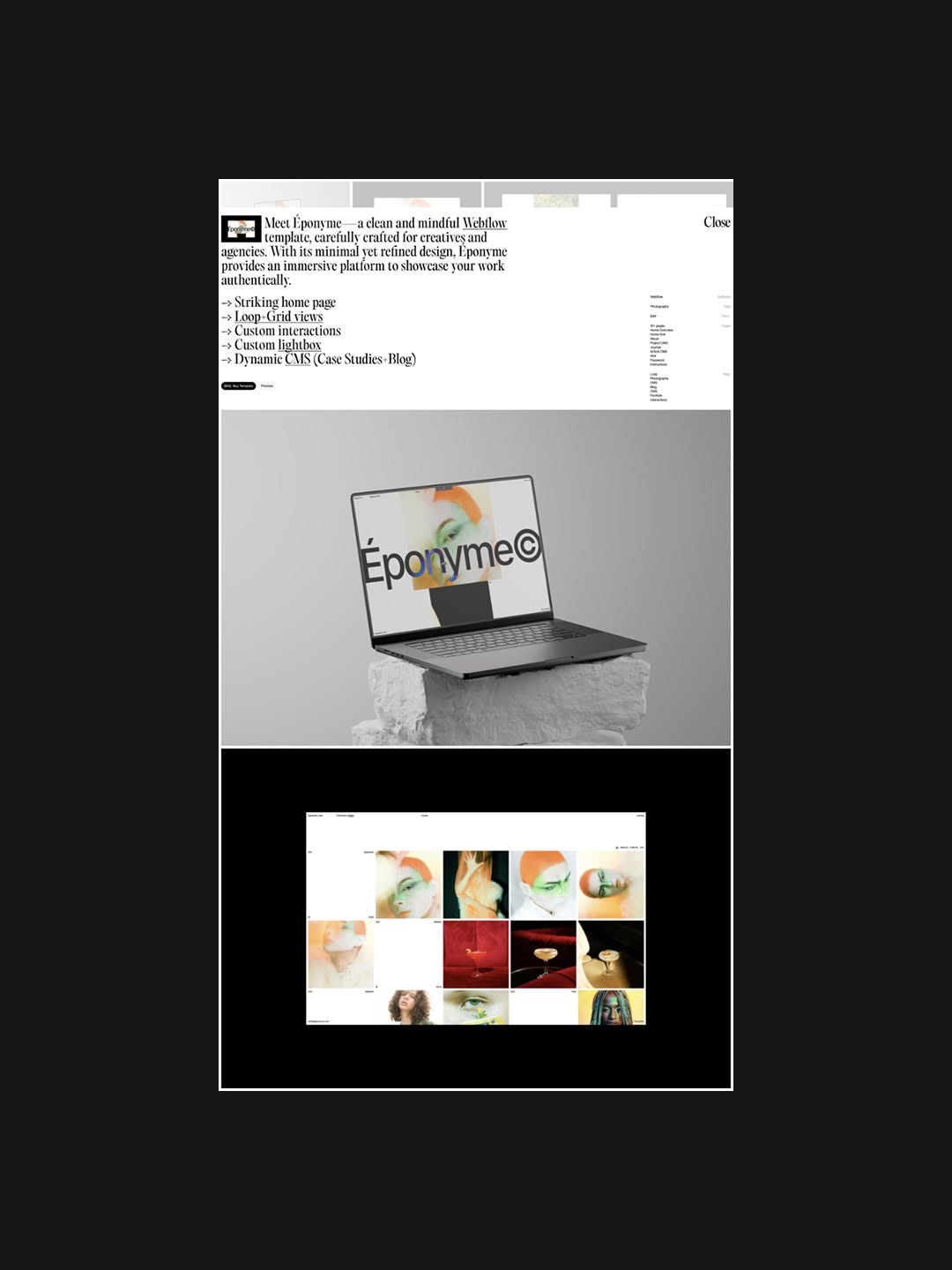 Specimen© Shop Image 7