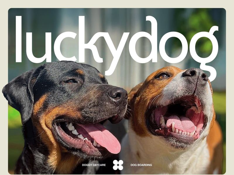 Award-Winning Pet Care Webflow Website Design