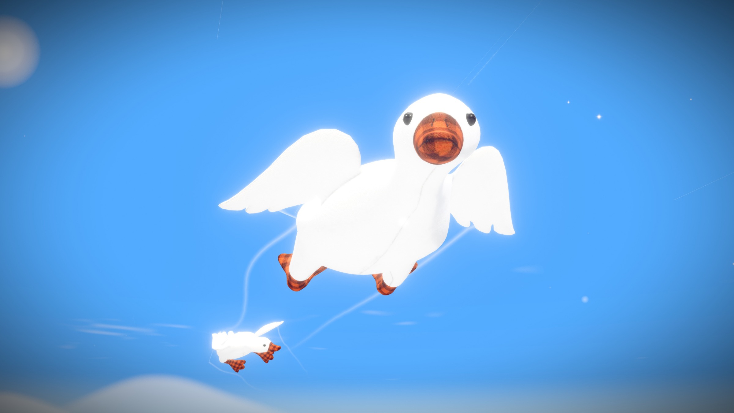 Ducks - An interactive migration Image 3