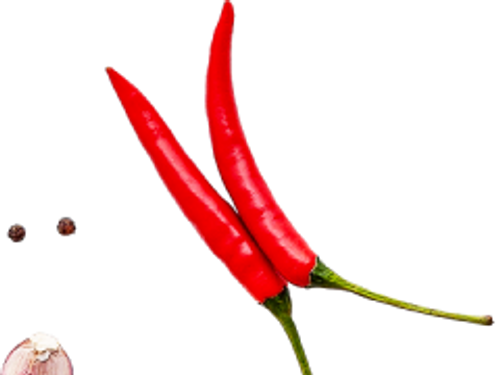 Best Catering Services in Mumbai for Events, Wedding and Parties | Cibo