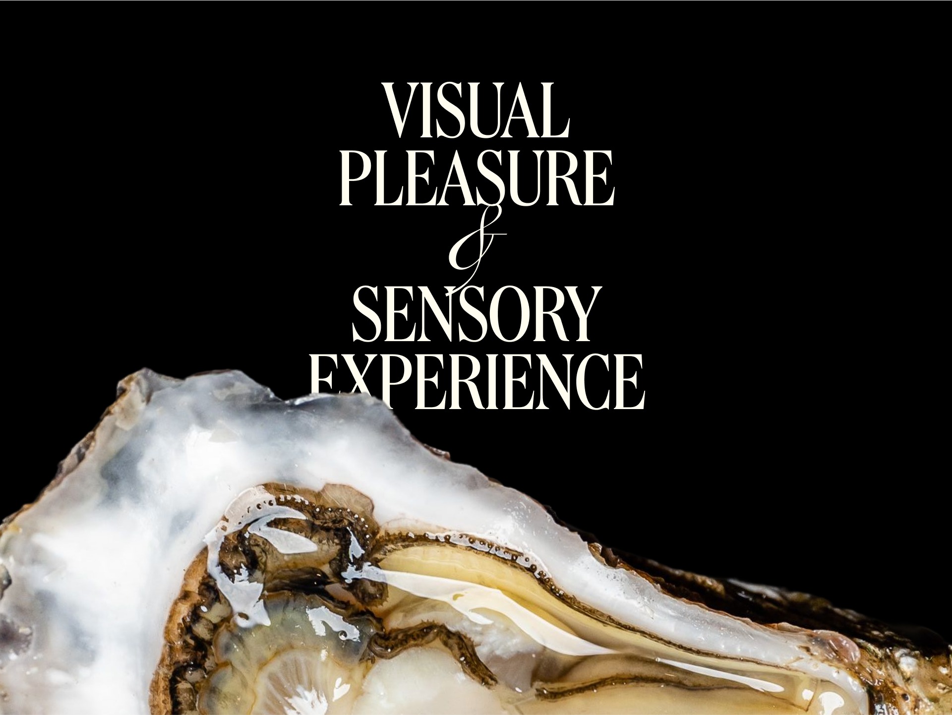 Bubbles & Lobster Image 9