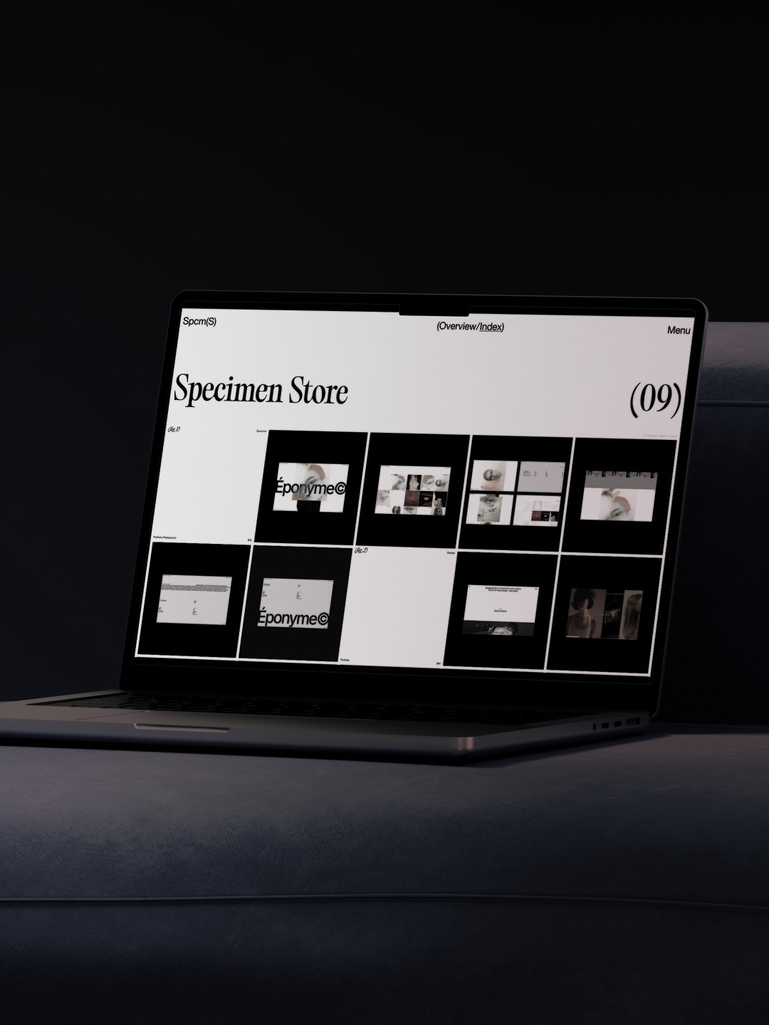 Specimen© Folio 2026 Image 3