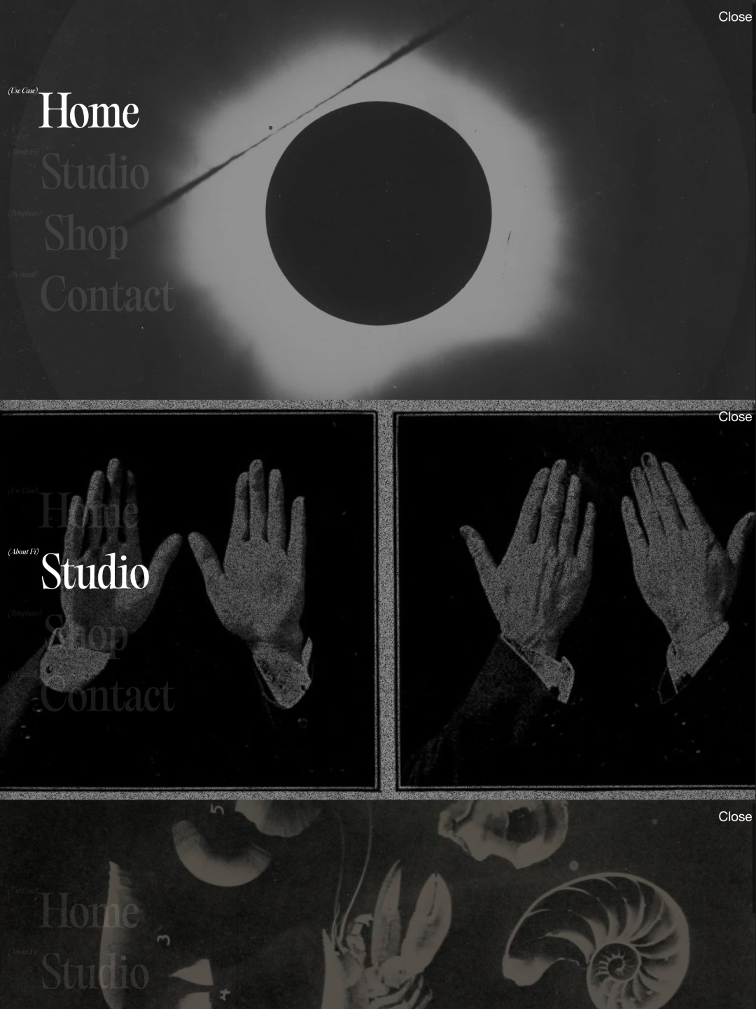 Specimen© Folio 2026 Image 4