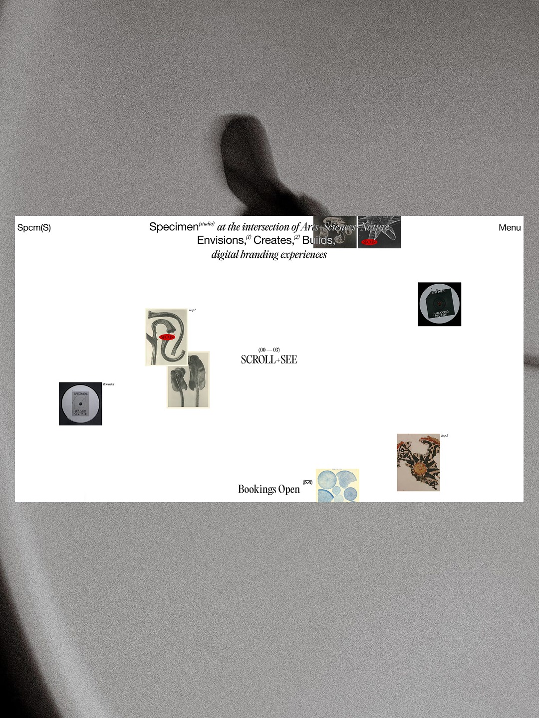 Specimen© Folio 2026 Image 5