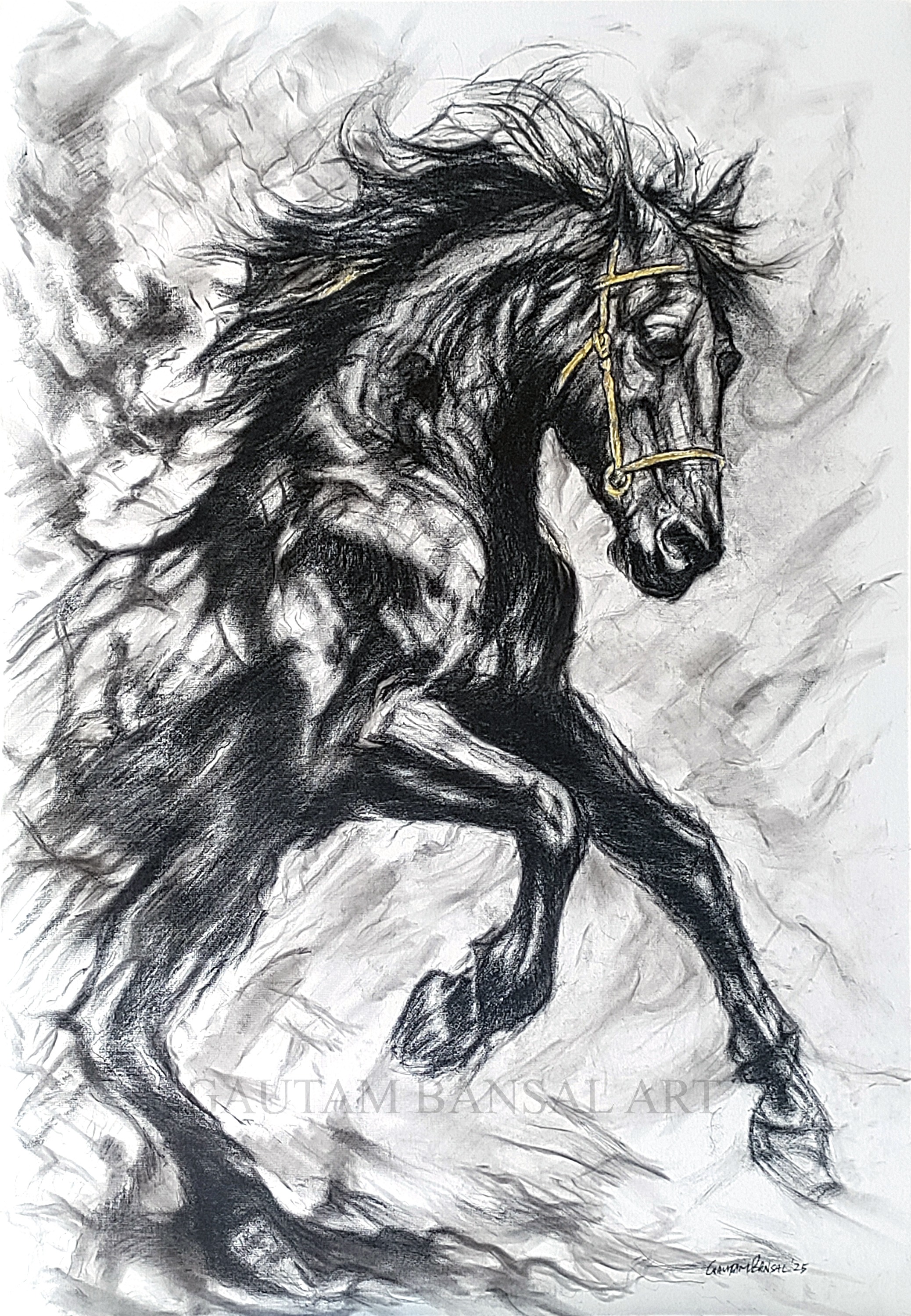 GAUTAM BANSAL ART - Still in Motion