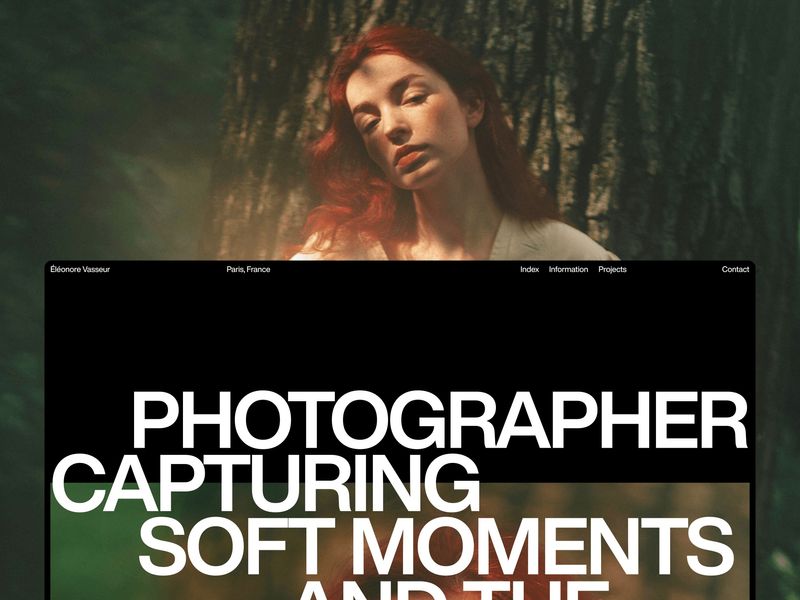 Éléonore Vasseur (UI Animation) by Alex Tkachev