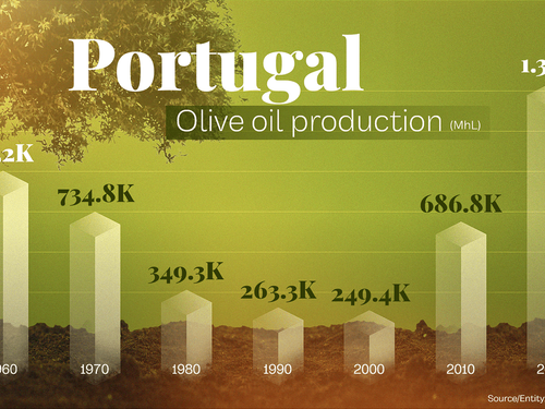 #01 DataSlides - Olive Oil production evolution