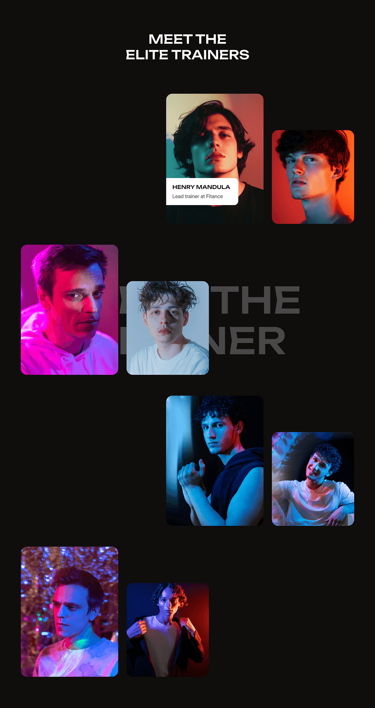 Fitence — Modern Gym Website Case Study Image 13