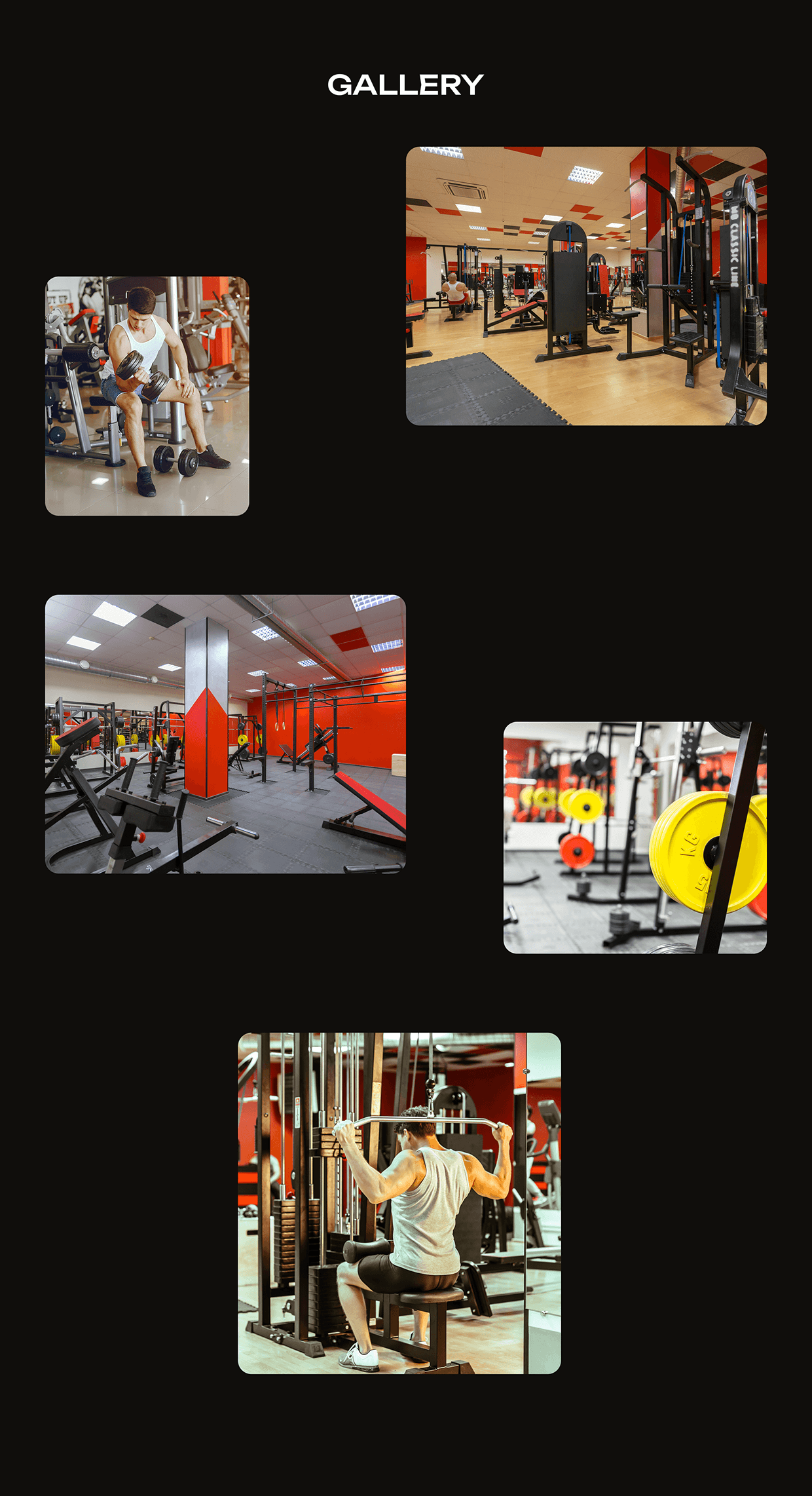 Fitence — Modern Gym Website Case Study Image 15