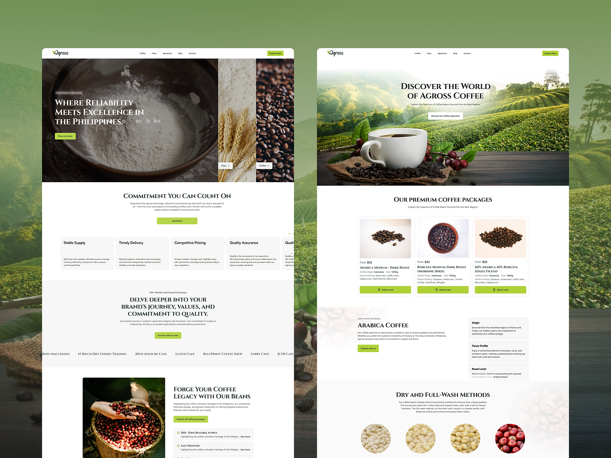AGross Full Website Case Study — eCommerce UX/UI Redesign Image 0