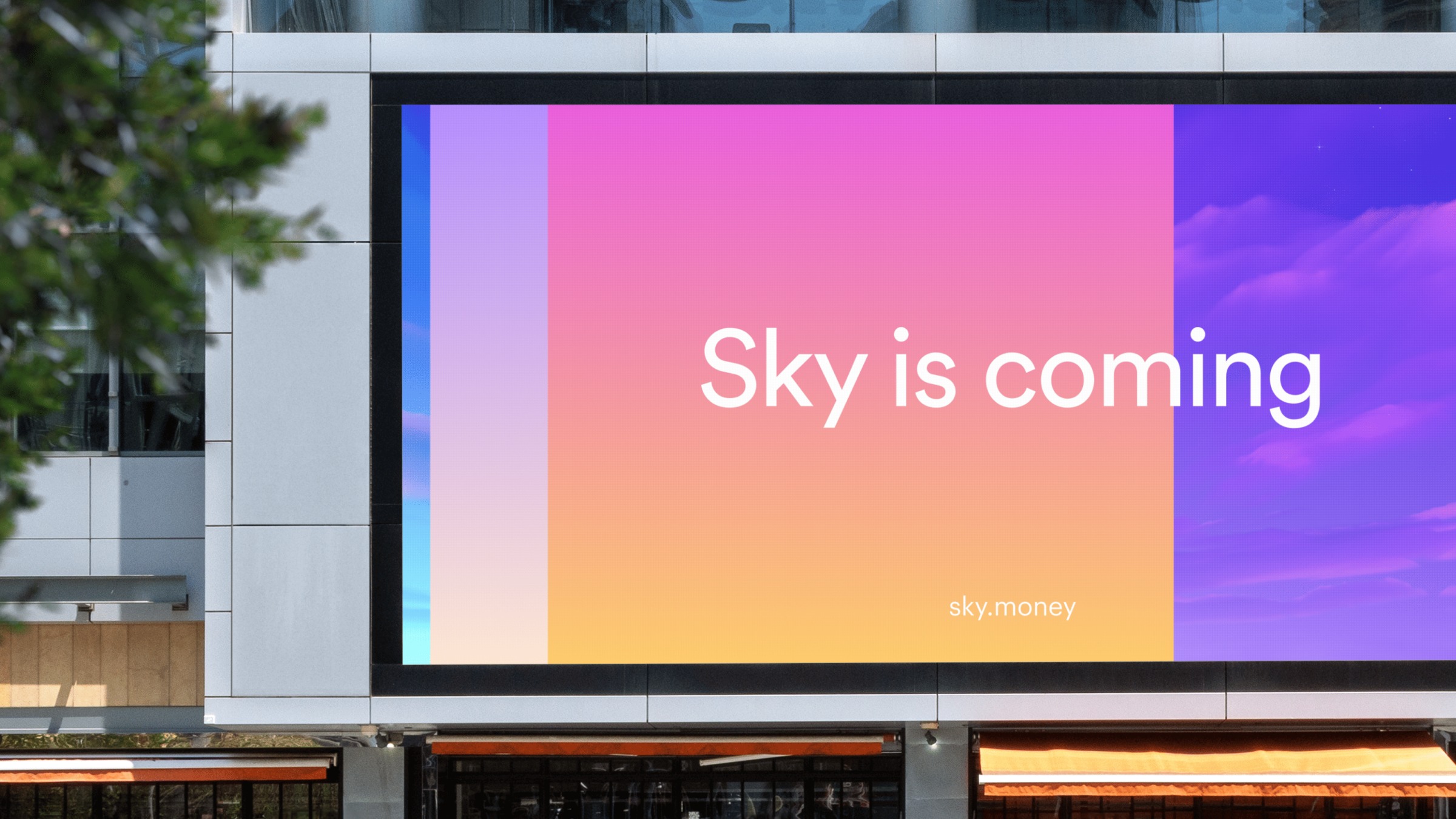 Branding and Visual Identity for Sky  Image 1