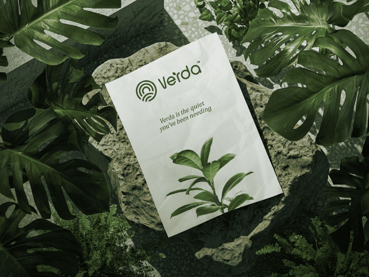 Verda - Eco Brand Identity & Logo Design Image 9