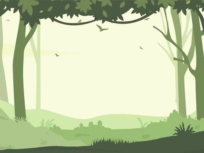 Rithm's Enlite: Premium Beverages Branding & Packaging Design