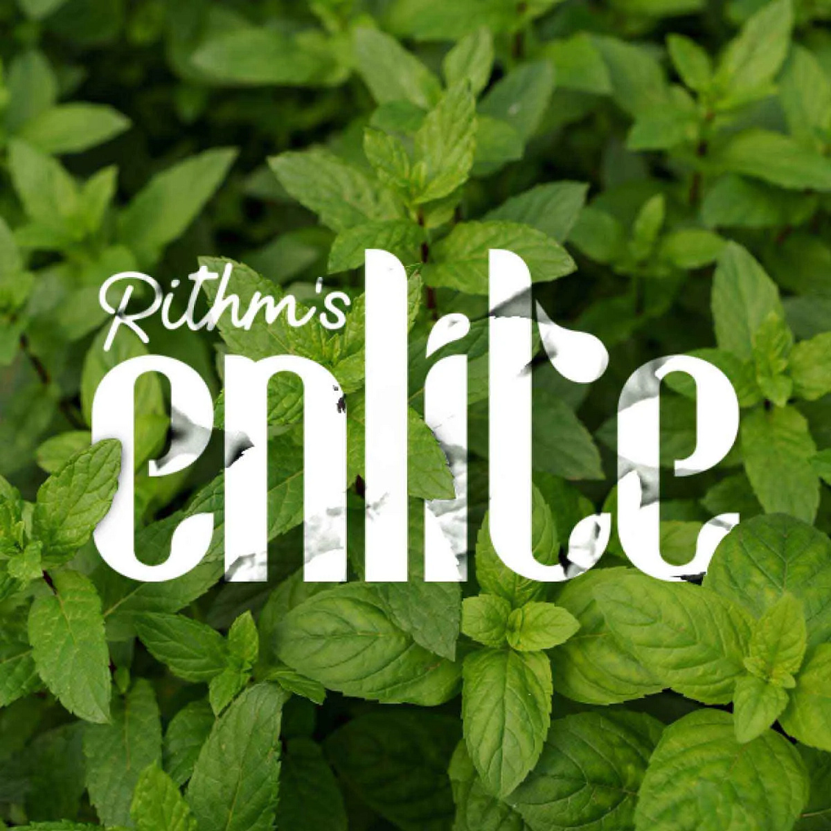 Rithm's Enlite: Premium Beverages Branding & Packaging Design Image 5