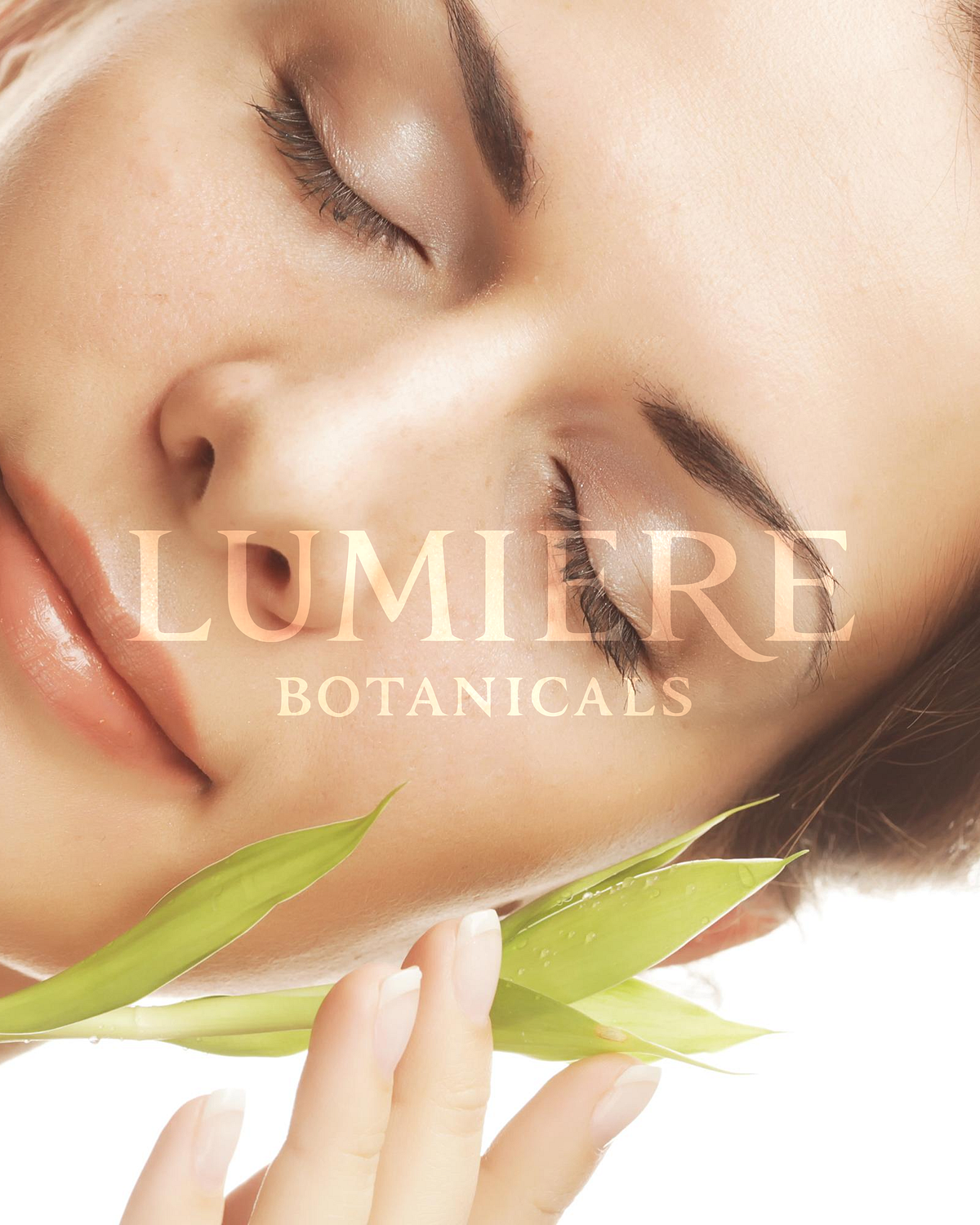 Premium Skincare Brand Identity Image 19