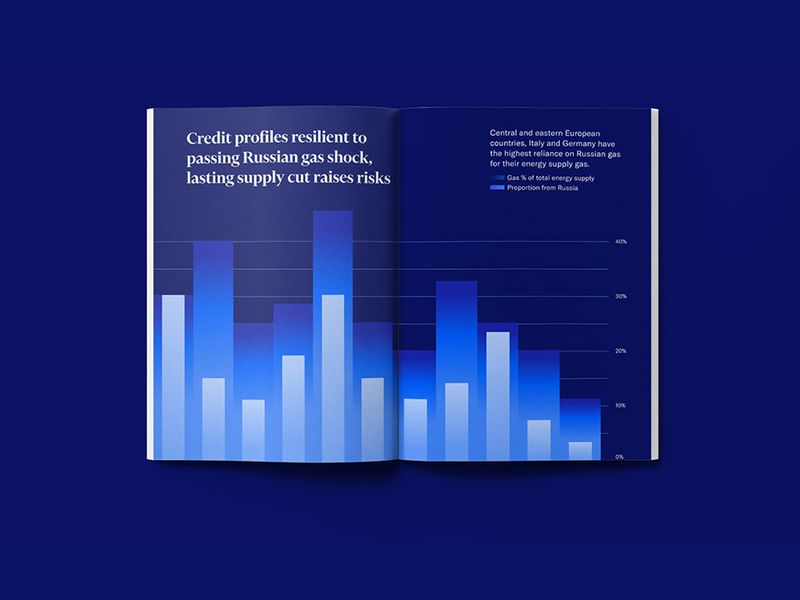Data Visualization Identity & Guidelines | Moody's