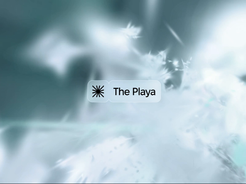 The Playa Solutions AI Software Web Design by Hexagon Agency