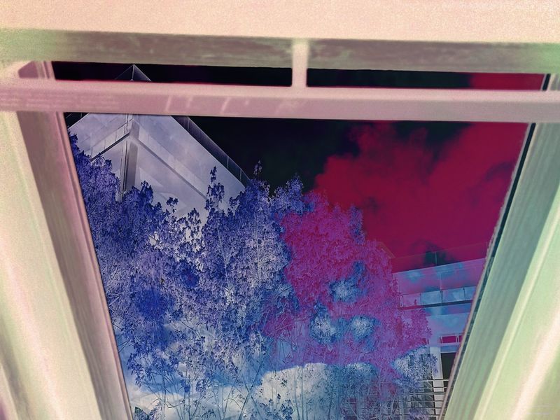 Room with a View: Glimpse into the Soul