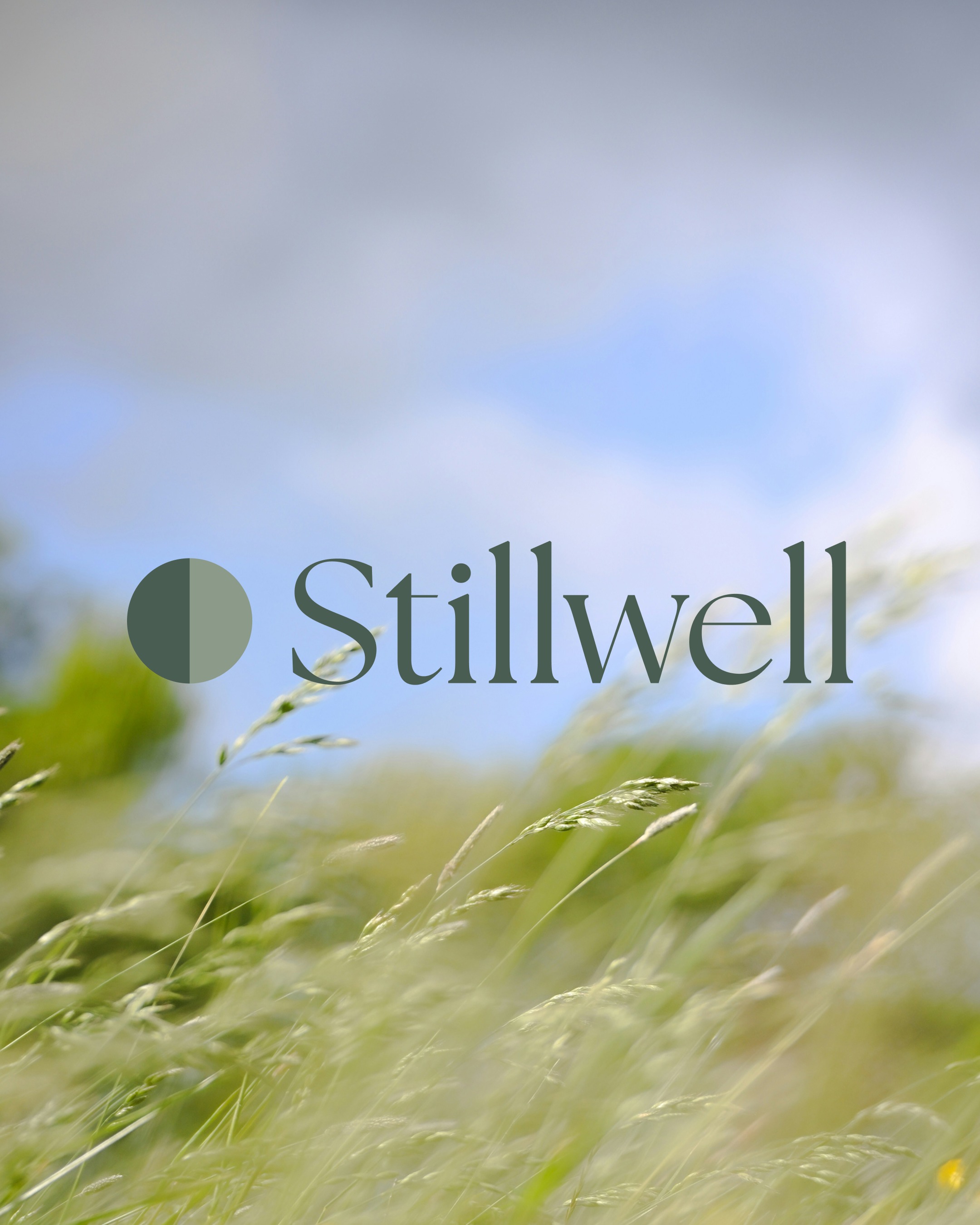 Stillwell: Brand Identity Concept Image 8