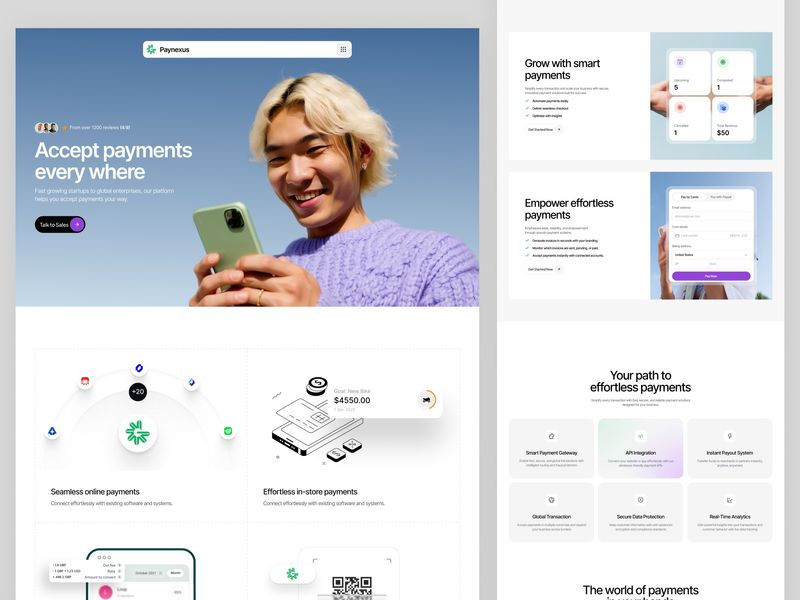 PayNexus Landing Page 