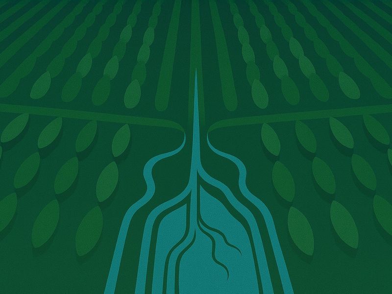 Tend to Your CROPs: The Mindset That Keeps Creative Teams Energized – Chris Pizzo Design