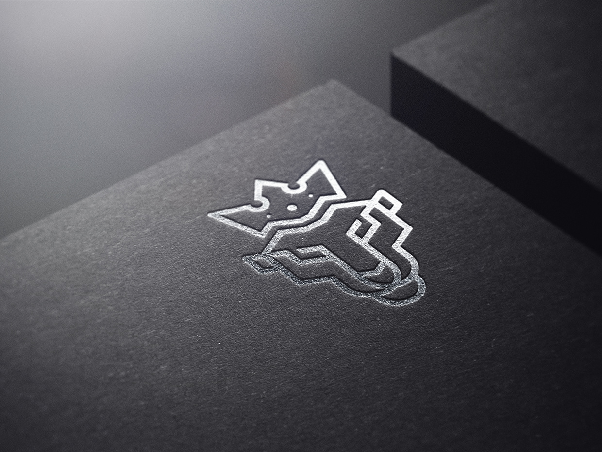 Brand Identity, Lion Crown, Branding, Logo Design Image 11