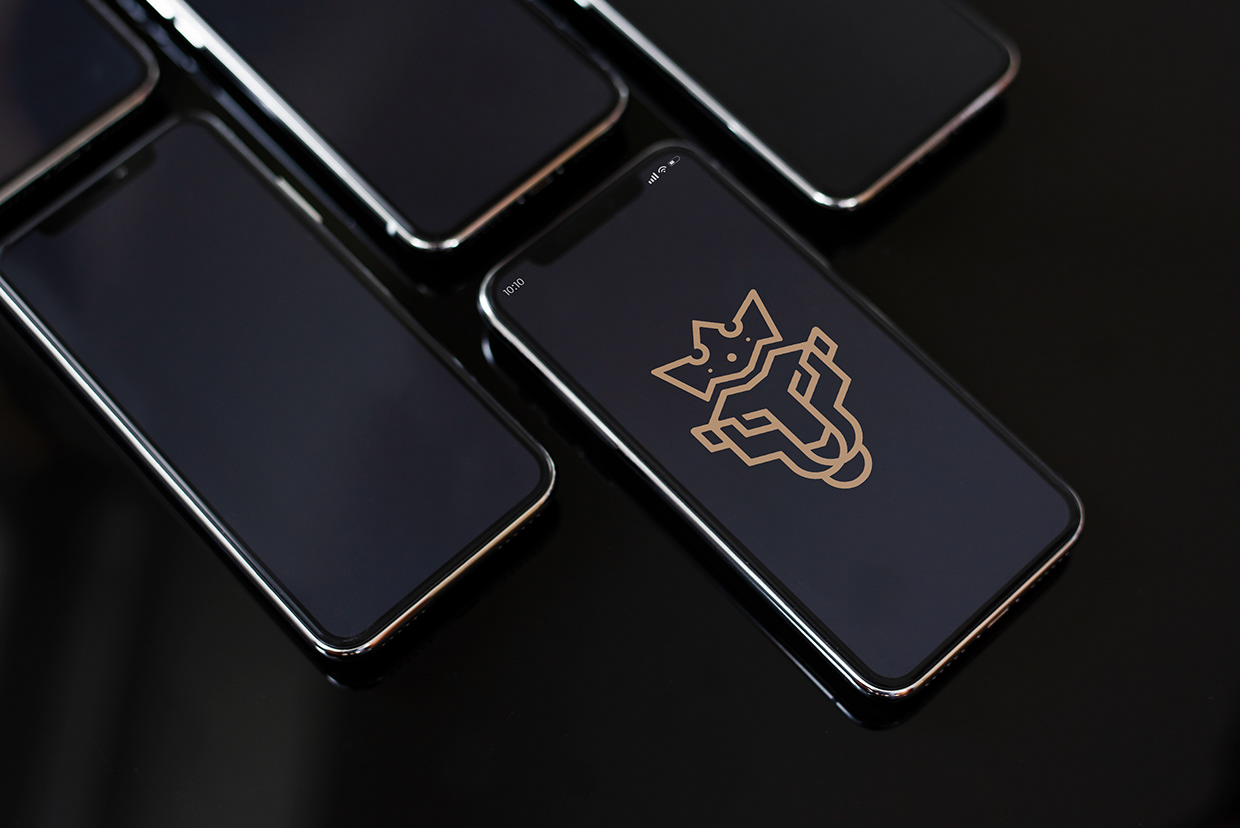 Brand Identity, Lion Crown, Branding, Logo Design Image 12
