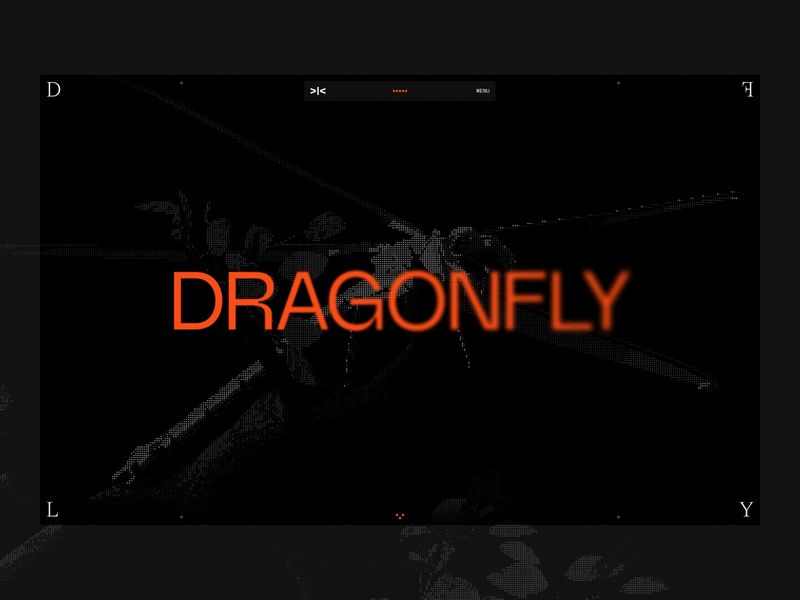 Dragonfly